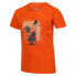 REGATTA Bosley VI short sleeve T-shirt