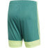 Фото #5 товара Adidas M Tastigo 19 Shorts DP3251 shorts