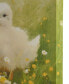 Фото #6 товара Sunshine Animals Chicks Canvas Wall Art