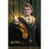 HARRY POTTER And The Goblet Of Fire Cedric Diggory Deluxe Figure