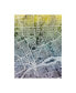 Фото #1 товара Michael Tompsett Detroit Michigan City Map Blue Yellow Canvas Art - 20" x 25"