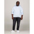 TOMMY JEANS Reg Metallic Dna hoodie