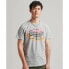 Фото #1 товара SUPERDRY Vintage Vl Narrative T-shirt