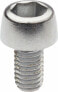 Фото #1 товара Campagnolo Front Derailleur Cable Clamp Bolt