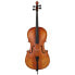 Hidersine Vivente Academy Cello Set 4/4