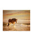 Фото #1 товара PH Burchett Sunkissed Horses V Canvas Art - 36.5" x 48"