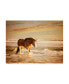 PH Burchett Sunkissed Horses V Canvas Art - 36.5" x 48"