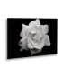 Фото #2 товара Kurt Shaffer Gardenia in Black and White Floating Brushed Aluminum Art - 22" x 25"