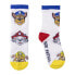 Фото #5 товара CERDA GROUP Paw Patrol Half long socks 5 units