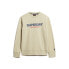 Фото #3 товара SUPERDRY Sportswear Logo Loose sweatshirt