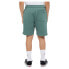 Фото #3 товара DICKIES Youth Mapleton sweat shorts