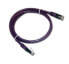 Фото #2 товара MCL Samar MCL Cable RJ45 Cat6 1.0 m Purple - 1 m