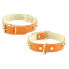 ფოტო #1 პროდუქტის YOUPET Mountain Co1F 45x2.5 cm Dog Collar