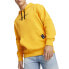 Фото #3 товара Puma Bmw Mms Logo Graphic Pullover Hoodie Mens Orange Casual Outerwear 62415906