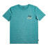 Фото #3 товара QUIKSILVER Arts In Palm short sleeve T-shirt