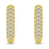 Sparkling gold-plated earrings with zircons EA1023Y