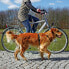 Фото #2 товара Поводок для собак TRIXIE Smycz для велосипеда и джоггинга - Черный 2.5 см