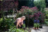 Фото #9 товара Бур садовый Fiskars 134720 15 см - 110 см 2,3 кг