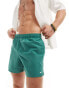 Фото #1 товара Nike Swimming Essential 5 inch volley swim shorts in bicoastal green