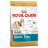 ROYAL CANIN Shih Tzu 1.5kg Dog Food