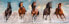 Clementoni Puzzle 1000 elementów Konie w galopie (39607)