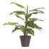 Фото #1 товара Искусственное растение декоративное PVC Железо 45 см BB Home