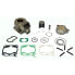 Фото #1 товара ATHENA P400485100017 Standard Bore Cylinder Kit Ø54 mm 125cc