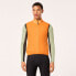 Фото #1 товара OAKLEY APPAREL Elements Insulated vest