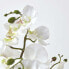 Фото #12 товара Искусственные цветы Homescapes Phalaenopsis Orchidee weiß 60 см