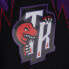 Фото #3 товара MITCHELL & NESS NBA TEAM MARBLE SWINGMAN SHORTS TORONTO RAPTORS 1998