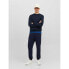 Фото #8 товара JACK & JONES Gordon Bradley sweat pants