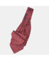 ფოტო #3 პროდუქტის Men's Spoleto - Silk Ascot Cravat Tie for Men