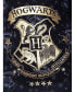 ფოტო #3 პროდუქტის Girls Hogwarts Castle Gold Foil Nightgown Pajama