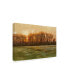 Фото #2 товара Michael Budden Sundown Flat Green Landscape Canvas Art - 20" x 25"