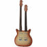 Фото #1 товара Danelectro DB604 Copper Burst