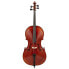 Gewa Ideale VC2 Cello 4/4