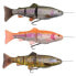 Фото #1 товара SAVAGE GEAR 4D Line Thru Trout Slow Sink Soft Lure 200 mm 93g