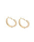 Фото #1 товара Women's Gold Crystal Hoop Earrings