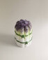 Фото #4 товара Ceramic vegetable salt shaker set