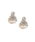ფოტო #1 პროდუქტის Women's Silver Stone Drop Earrings