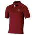 NCAA Arkansas Razorbacks Men's Short Sleeve Polo Shirt - S