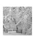 Фото #1 товара Incredi 'Winter Wonderland White' Canvas Art - 35" x 35"