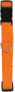 Фото #1 товара Ошейник регулируемый Zolux нейлоновый 40 мм оранжевый