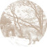 Фото #1 товара selbstklebende runde Tapete Wald mit Wal