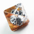 GAMEGENIC Death Valley RPG Dices Set 7 Piezas