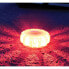 STINGRAY Alert Led Safety Light