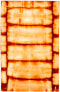 Фото #1 товара Vintage Teppich - 183 x 118 cm - orange