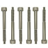 Floyd Rose FROSLSTIP String Lock Screws