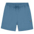 Фото #3 товара DICKIES Pelican Rapids shorts