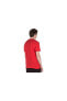 Фото #5 товара Erkek T-Shirt M Nstee Just Do It Swoosh T-shırt DX1989-657